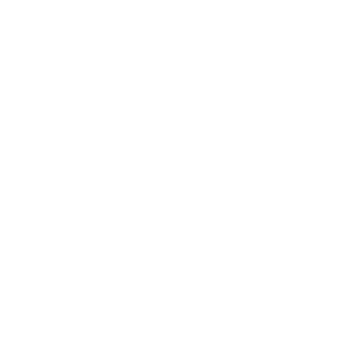 Strongarm Mobile Station Operator Interface System